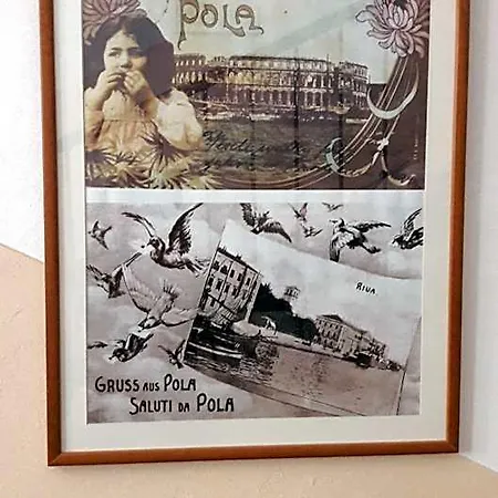 Veli Joze 호텔 풀라